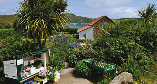 Bryher