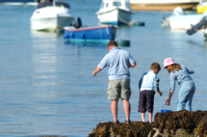 crabbing