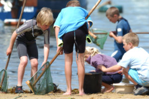 rockpoolramble