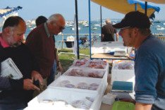 Local Produce Market