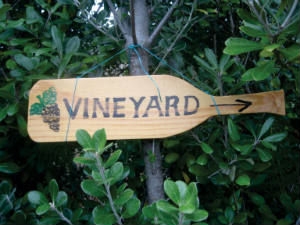 St. Martin&#039;s Vineyard